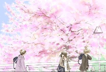 大象传媒视频芒果传媒